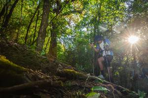 BIB: 
                            <button type="button" onclick="openModal(16015614)" class="btn btn-primary btn-sm float-right btn-popup" data-toggle="modal" data-target=".modal-high-quality">
                        <i class="fas fa-shopping-cart"></i> Add to Cart
                    </button>
                                            <button type="button" onclick="isThisMe(16015614, true)" class="btn btn-success btn-sm float-right btn-popup btn-isme hidden" data-toggle="tooltip" data-placement="bottom" title="นี่คือรูปของคุณใช่ไหม คลิกที่นี่เพื่อเอาเข้าอัลบั้ม">
                        <i class="fas fa-plus"></i> Add to album
                    </button>
                    <button type="button" onclick="isThisMe(16015614, false)" class="btn btn-warning btn-sm float-right btn-popup btn-isnotme hidden">
                        <i class="fas fa-ban"></i> Remove from album
                    </button>